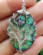 Tree of Life Abalone Amulet