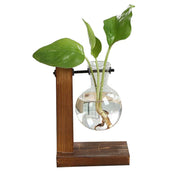 Terrarium Glass Plant Vase