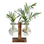 Terrarium Glass Plant Vase